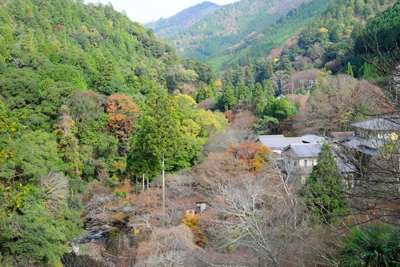 Лучшие достопримечательности Японии в сезон красных листьев 2015 Tokyo-Nagoya(Obara,Korankei)-Kyoto-Nara-Osaka Лучшие достопримечательности Японии в сезон красных листьев 2015 Tokyo-Nagoya(Obara,Korankei)-Kyoto-Nara-Osaka