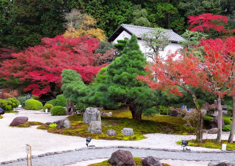 Лучшие достопримечательности Японии в сезон красных листьев 2015 Tokyo-Nagoya(Obara,Korankei)-Kyoto-Nara-Osaka Лучшие достопримечательности Японии в сезон красных листьев 2015 Tokyo-Nagoya(Obara,Korankei)-Kyoto-Nara-Osaka