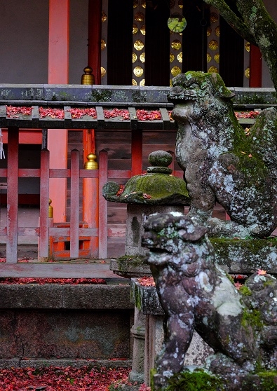Лучшие достопримечательности Японии в сезон красных листьев 2015 Tokyo-Nagoya(Obara,Korankei)-Kyoto-Nara-Osaka Лучшие достопримечательности Японии в сезон красных листьев 2015 Tokyo-Nagoya(Obara,Korankei)-Kyoto-Nara-Osaka
