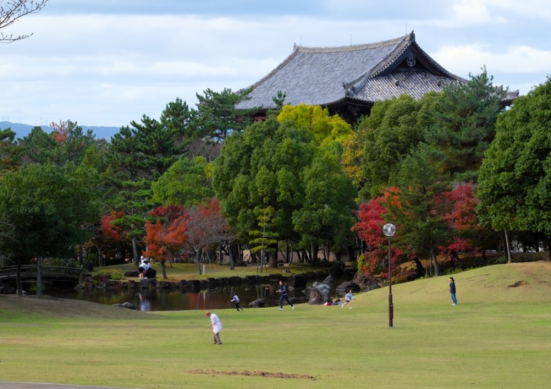 Лучшие достопримечательности Японии в сезон красных листьев 2015 Tokyo-Nagoya(Obara,Korankei)-Kyoto-Nara-Osaka Лучшие достопримечательности Японии в сезон красных листьев 2015 Tokyo-Nagoya(Obara,Korankei)-Kyoto-Nara-Osaka