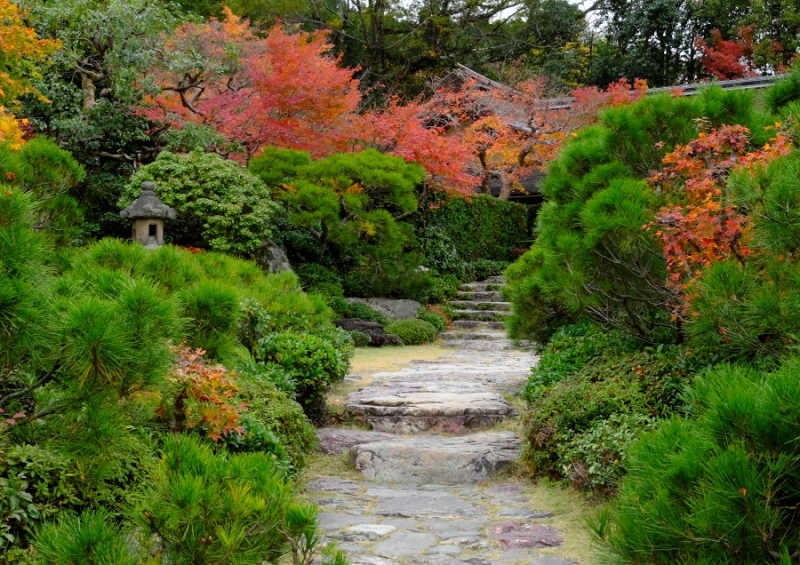 Лучшие достопримечательности Японии в сезон красных листьев 2015 Tokyo-Nagoya(Obara,Korankei)-Kyoto-Nara-Osaka Лучшие достопримечательности Японии в сезон красных листьев 2015 Tokyo-Nagoya(Obara,Korankei)-Kyoto-Nara-Osaka