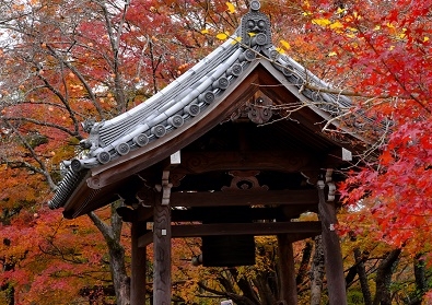 Лучшие достопримечательности Японии в сезон красных листьев 2015 Tokyo-Nagoya(Obara,Korankei)-Kyoto-Nara-Osaka Лучшие достопримечательности Японии в сезон красных листьев 2015 Tokyo-Nagoya(Obara,Korankei)-Kyoto-Nara-Osaka