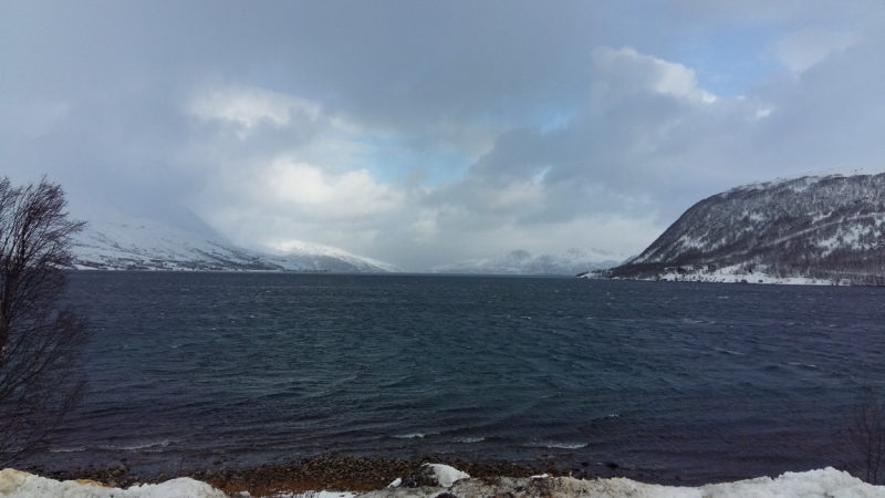 Tromso, Svalbard март 2017. Как сбываются мечты. Tromso, Svalbard март 2017. Как сбываются мечты.