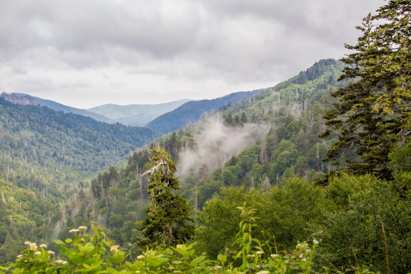 Great Smoky Mountains - жемчужина восточного побережья Great Smoky Mountains - жемчужина восточного побережья