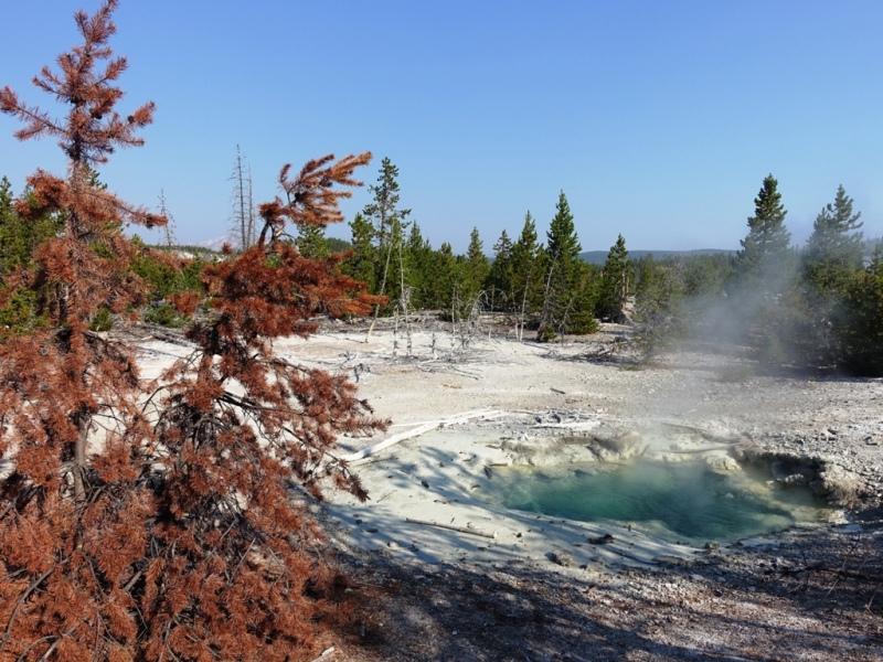 Затмение в Америке Затмение в Америке