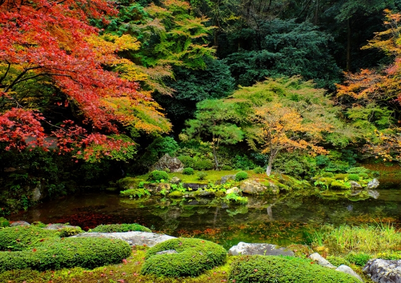 Лучшие достопримечательности Японии в сезон красных листьев 2015 Tokyo-Nagoya(Obara,Korankei)-Kyoto-Nara-Osaka Лучшие достопримечательности Японии в сезон красных листьев 2015 Tokyo-Nagoya(Obara,Korankei)-Kyoto-Nara-Osaka