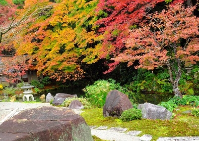 Лучшие достопримечательности Японии в сезон красных листьев 2015 Tokyo-Nagoya(Obara,Korankei)-Kyoto-Nara-Osaka Лучшие достопримечательности Японии в сезон красных листьев 2015 Tokyo-Nagoya(Obara,Korankei)-Kyoto-Nara-Osaka
