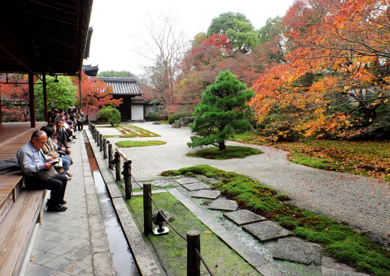 Лучшие достопримечательности Японии в сезон красных листьев 2015 Tokyo-Nagoya(Obara,Korankei)-Kyoto-Nara-Osaka Лучшие достопримечательности Японии в сезон красных листьев 2015 Tokyo-Nagoya(Obara,Korankei)-Kyoto-Nara-Osaka