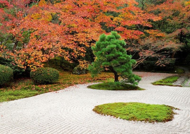 Лучшие достопримечательности Японии в сезон красных листьев 2015 Tokyo-Nagoya(Obara,Korankei)-Kyoto-Nara-Osaka Лучшие достопримечательности Японии в сезон красных листьев 2015 Tokyo-Nagoya(Obara,Korankei)-Kyoto-Nara-Osaka