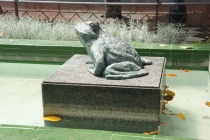 Барселона Гран Канария Рим 2011. Фотоотчет. Барселона Гран Канария Рим 2011. Фотоотчет.