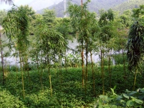 Нинбо (Ningbo). В основном фото. Нинбо (Ningbo). В основном фото.