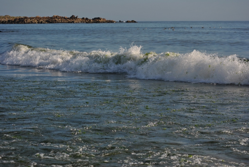 После Порто  – хоть на Край Земли! Фотовпечатления...