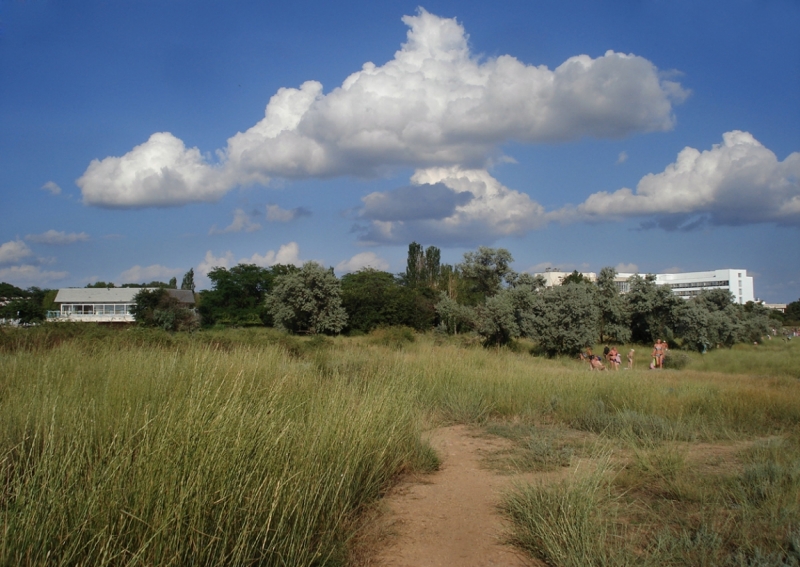 Дороги, тропы: куда они нас ведут - тут фотоответ