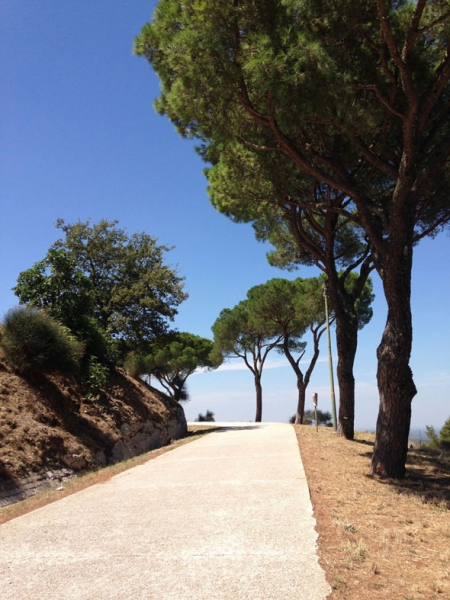 Путешествие в Апулию: Бари, Кастель Дель Монте, Монте Сант'Анжело. (Практические советы).