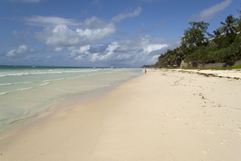 Кения: сафари с Australken плюс пляжный отдых на Diani Beach