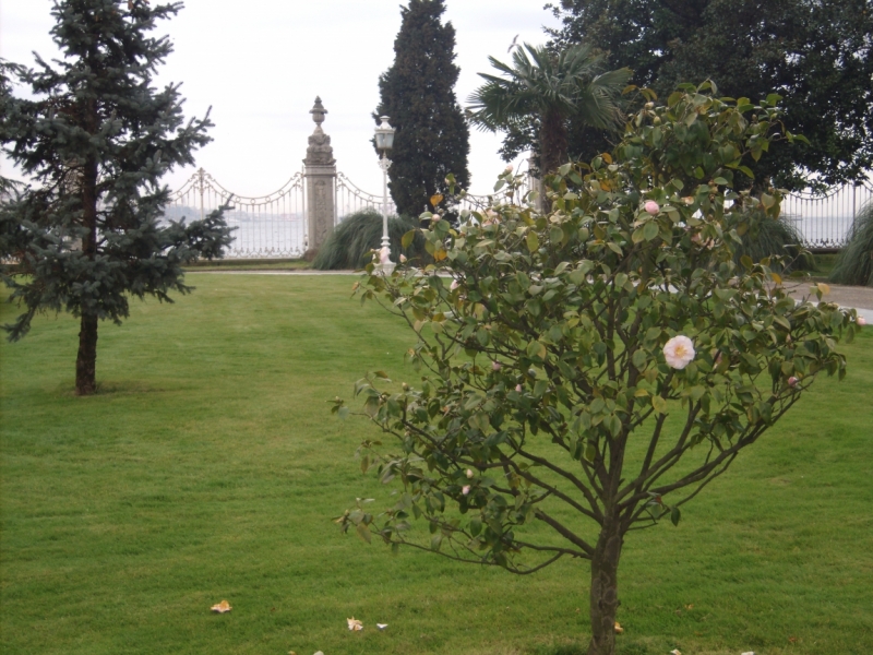 Неделя в Стамбуле ранней весной – март 2013.