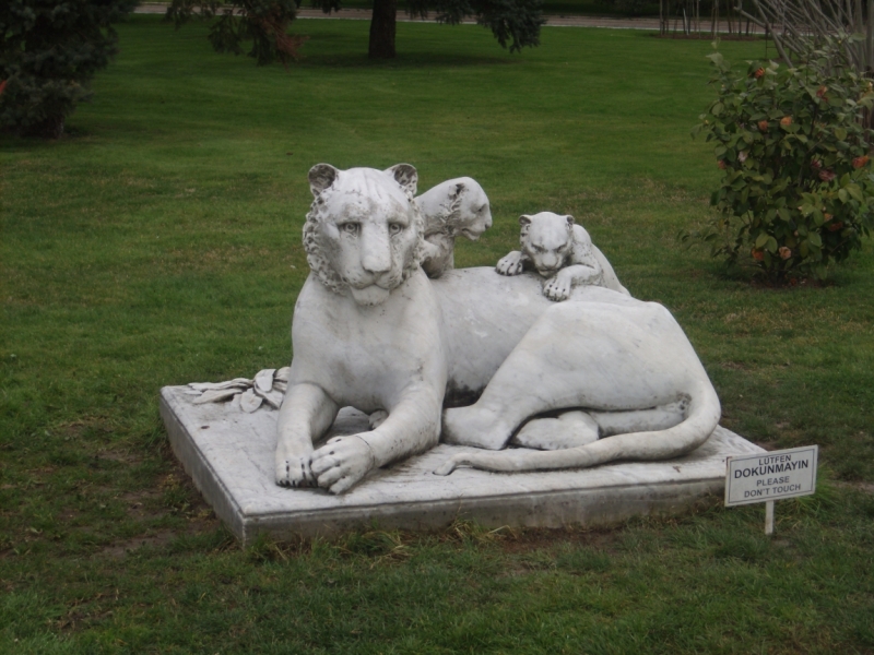 Неделя в Стамбуле ранней весной – март 2013.