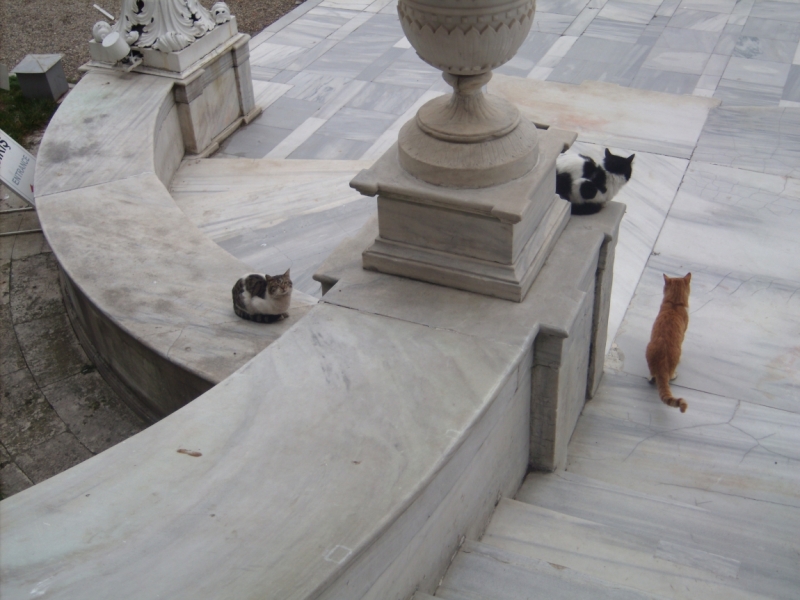 Неделя в Стамбуле ранней весной – март 2013.