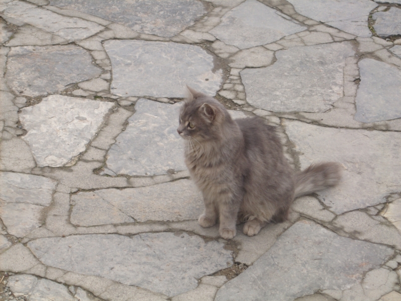 Неделя в Стамбуле ранней весной – март 2013.