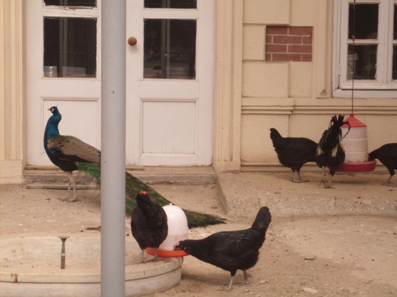 Неделя в Стамбуле ранней весной – март 2013.