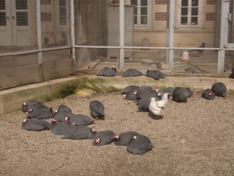 Неделя в Стамбуле ранней весной – март 2013.