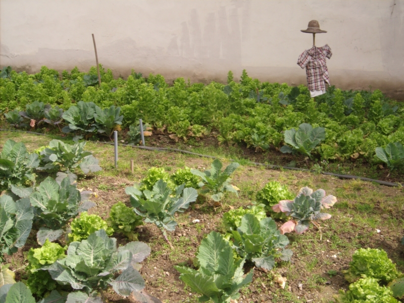 Неделя в Стамбуле ранней весной – март 2013.