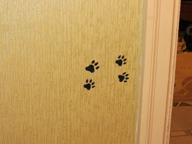 Поговорим о кошках 29