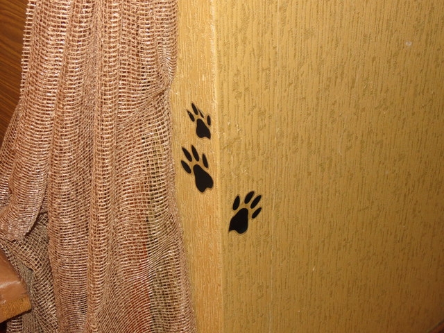 Поговорим о кошках 29