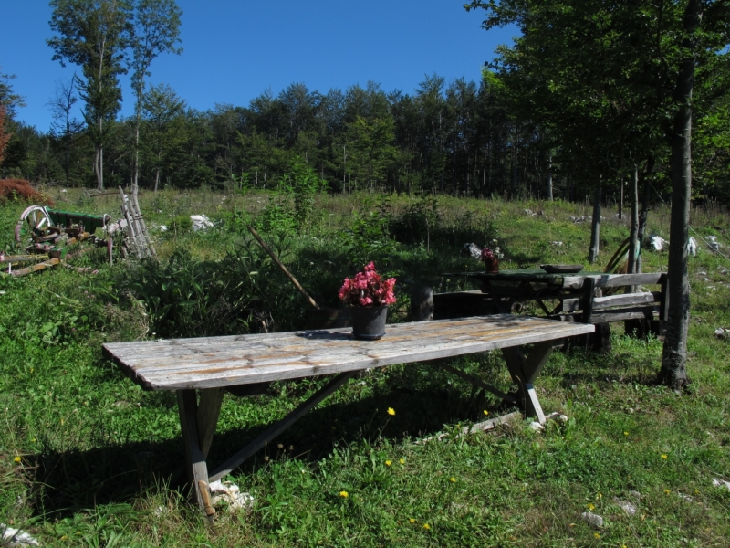 Белград- национальный парк Тара - Нови Сад (+Фрушка Гора) август 2014