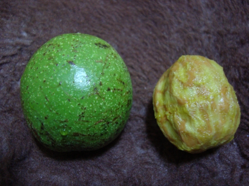 Киргизия, август 2014