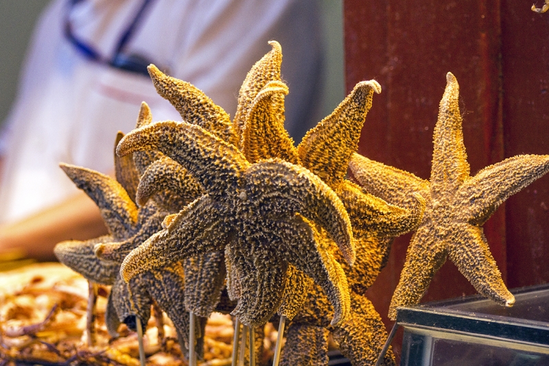 Пекин-Тяньцзинь-Шанхай-Шэньчжэнь-Гуанчжоу-Гонконг-Макао апрель-май 2014