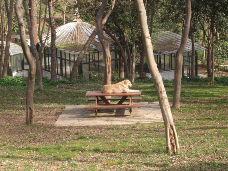 Неделя в Стамбуле ранней весной – март 2013.