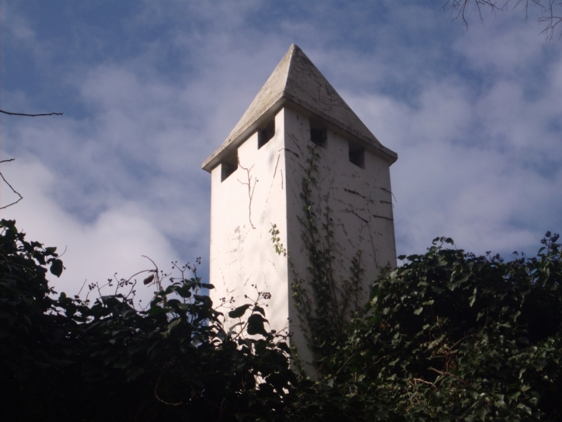 Неделя в Стамбуле ранней весной – март 2013.