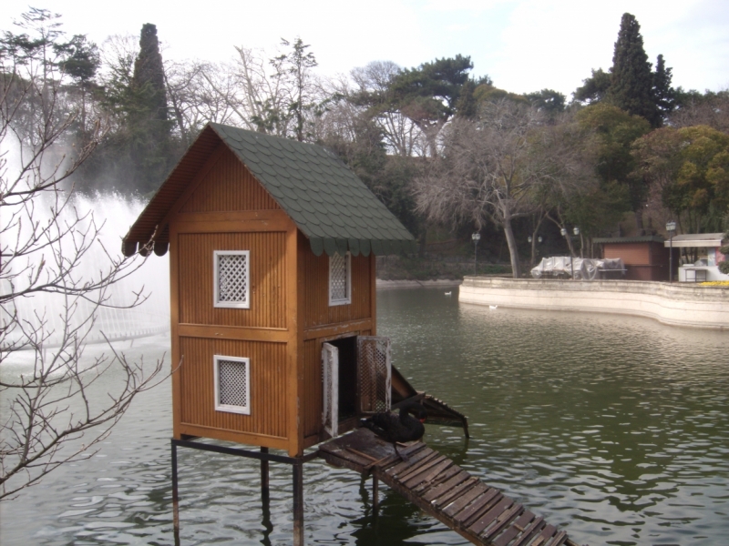 Неделя в Стамбуле ранней весной – март 2013.