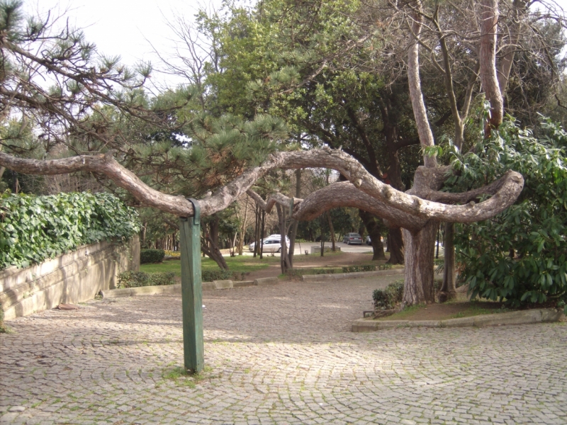 Неделя в Стамбуле ранней весной – март 2013.