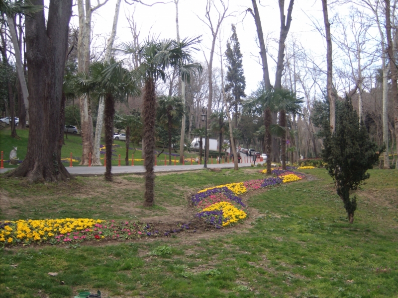 Неделя в Стамбуле ранней весной – март 2013.