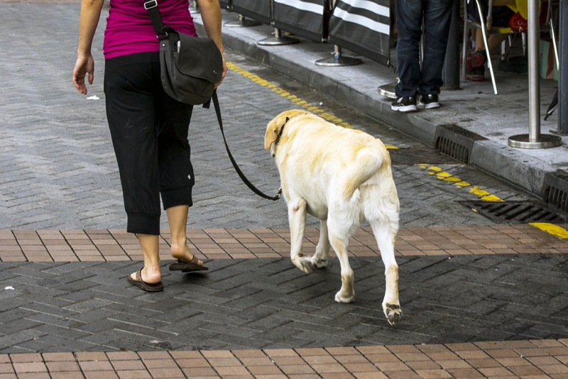 Пекин-Тяньцзинь-Шанхай-Шэньчжэнь-Гуанчжоу-Гонконг-Макао апрель-май 2014