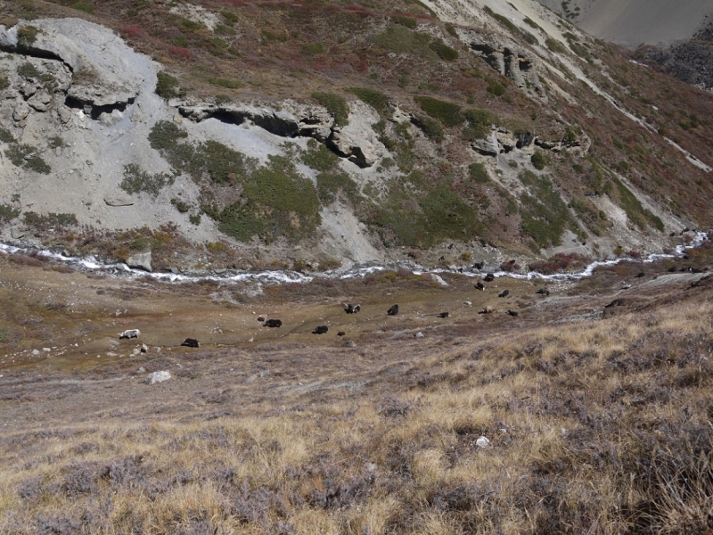 Кольцо Аннапурны (из Бессисахара до Покхары) или In the Big Rock Candy Mountains