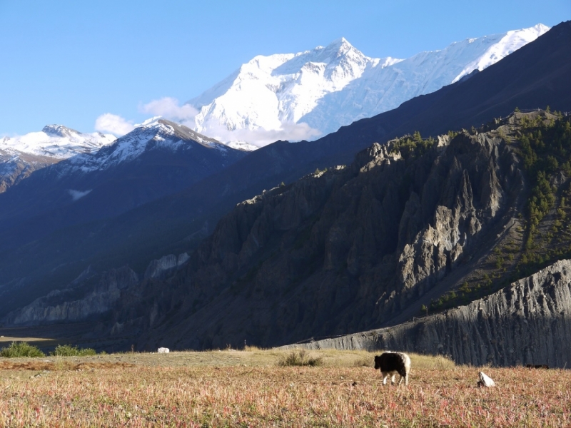 Кольцо Аннапурны (из Бессисахара до Покхары) или In the Big Rock Candy Mountains