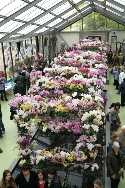 Цветочный маршрут: окрестности Keukenhof и Emeloord