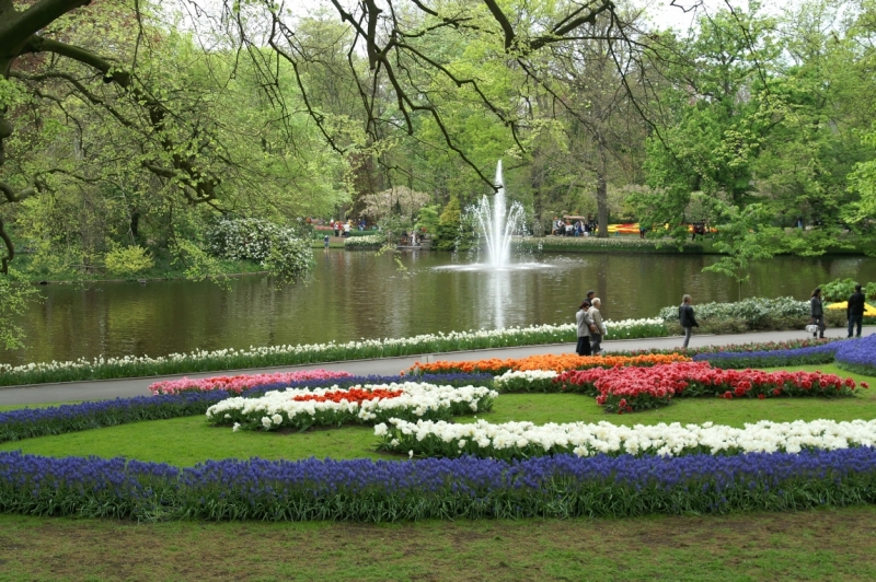 Цветочный маршрут: окрестности Keukenhof и Emeloord