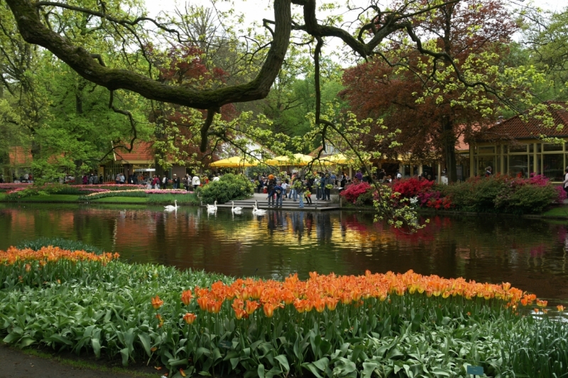 Цветочный маршрут: окрестности Keukenhof и Emeloord