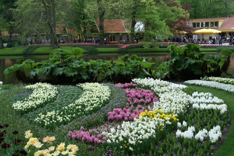 Цветочный маршрут: окрестности Keukenhof и Emeloord