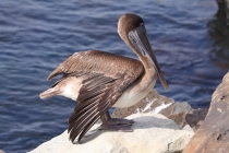 Маршрут по Галапагосам. Прошу совет