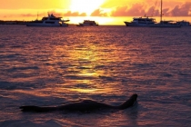 Маршрут по Галапагосам. Прошу совет