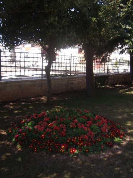 Неделя в Стамбуле ранней весной – март 2013.