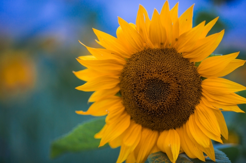 От Южного Урала через Казбек к двум морям (Россия-Грузия-Азербайджан) (+фото)