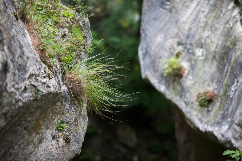 От Южного Урала через Казбек к двум морям (Россия-Грузия-Азербайджан) (+фото)