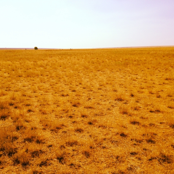 От Южного Урала через Казбек к двум морям (Россия-Грузия-Азербайджан) (+фото)