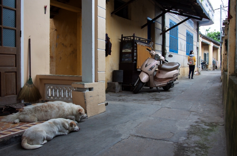 Дороги, тропы: куда они нас ведут - тут фотоответ